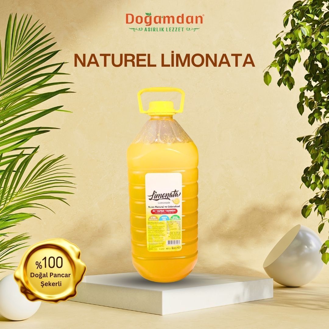 Limonata Özü 1 lt